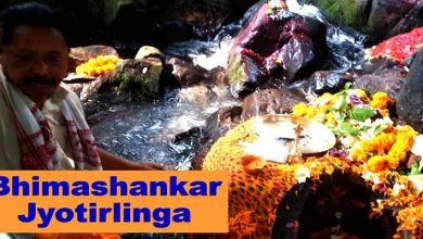 Watch Video: Bhimashankar Jyotirlinga, stream surrounding the Shiva Linga in Guwahati
