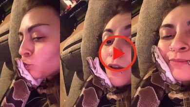 VIRAL VIDEO: Girl Cuddles And Kisses Her Pet Snake