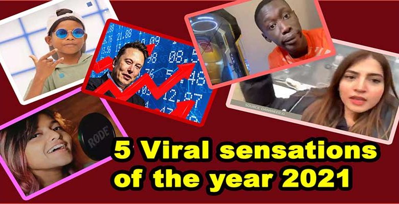 Watch Video of Top 5 Viral sensations of the year 2021