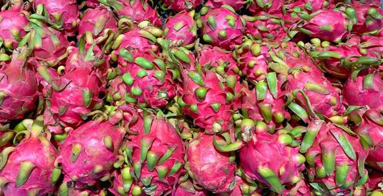 VIRAL NEWS: Coronavirus found in dragon fruits