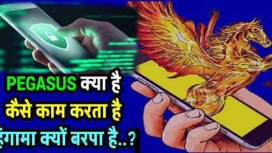 Watch Video: What is Pegasus Spyware, How it work