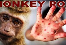 Monky Pox Virus spread across 15 nation within 15 days