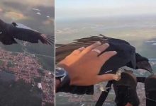 Viral Video: Man Paragliding With Black Vulture Leaves Internet Amazed