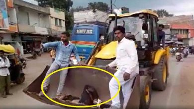 Viral Video: Accident Victim Carried To Hospital On JCB Machine in MP’s Katni